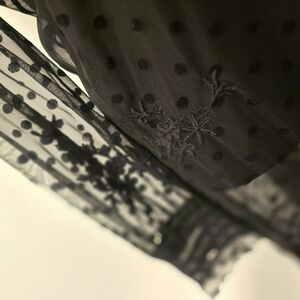 Zara Black Sheer Polka Dot Dress